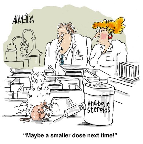 'Maybe a smaller dose next time!'