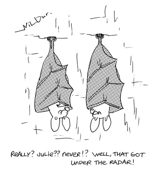 'Really Julie? Never? Well, that got under the radar!'