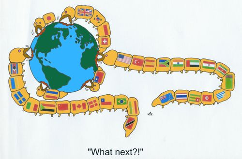 What next?!