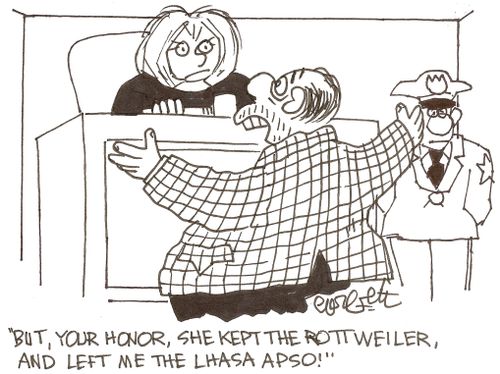 'But, Your Honor,she kept the Rottweiler, and left me the Lhasa Apso!'