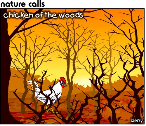 Chicken of the Woods