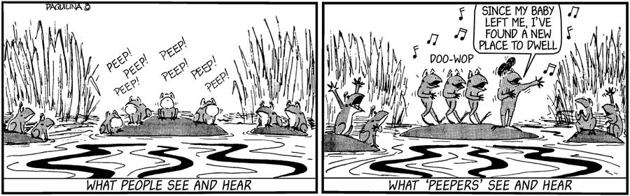 What people see and hear...what peepers ses and hear...