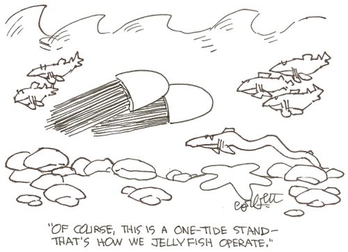 'Of course, this is a one-tide stand- that's how we jellyfish operate.'