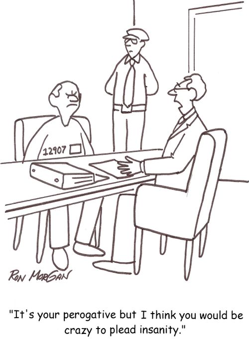'It's your perogative but I think you would be crazy to plead insanity.'