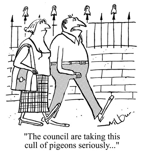 'The council are taking this cull of pigeons seriously...'