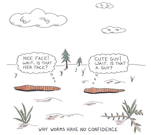 Why worms have no confidence