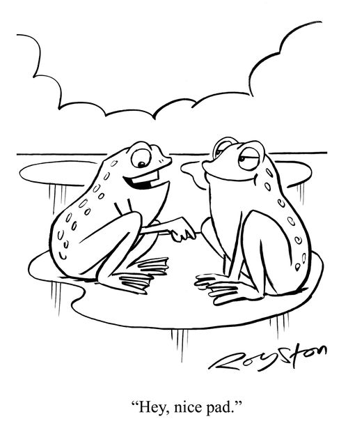 Frog to other frog: 'Hey, nice pad.'