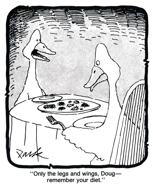'Only the legs and wings, Doug - remember your diet.'