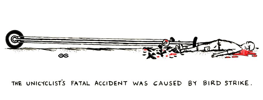 The unicyclist's fatal accident was caused by a bird strike.