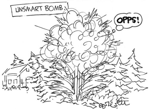 Unsmart bomb: 'OOPS!'