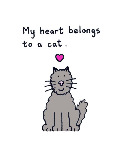My heart belongs to a cat.