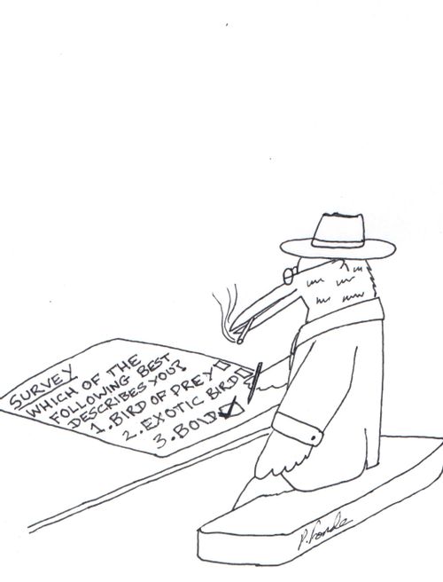 Mafia bird describes himself