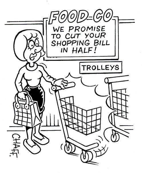 We promise to cut your shopping bill in half!'