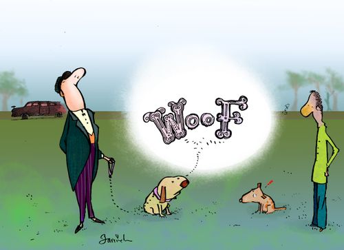 Classy Dogs.
