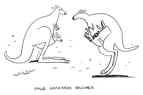 Male Kangaroo Pouches.