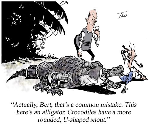 'Actually, Bert, that's a common mistake.  This here's an alligator. Crocodiles have a more rounded, U-shaped snout.'