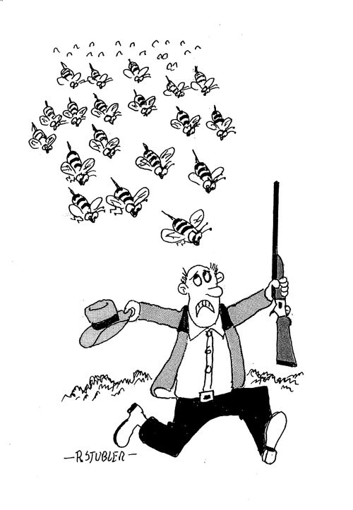 Hunter being chased by bees.