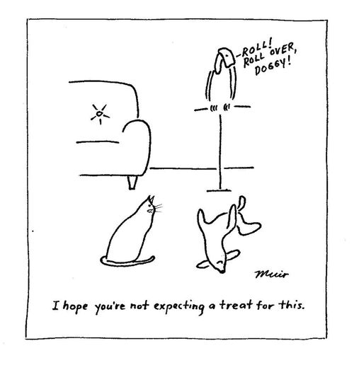 'I hope you're not expecting a treat for this.'