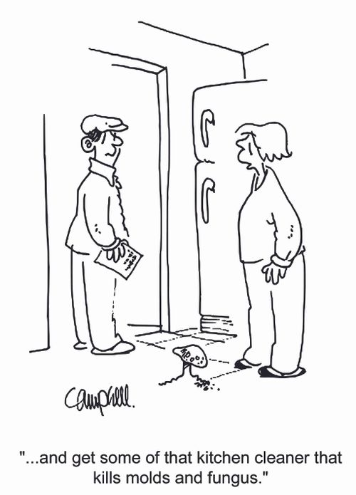 '...and get some of that kitchen cleaner that kills molds and fungus.'