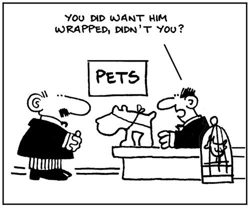 'You did want him wrapped, didn't you?'