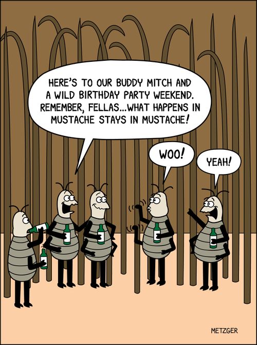 'Here's to our buddy Mitch and a wild birthday party weekend. Remember, fellas. . . what happens in mustache stays in mustache!'