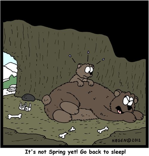 'It's not Spring yet! Go back to sleep!'