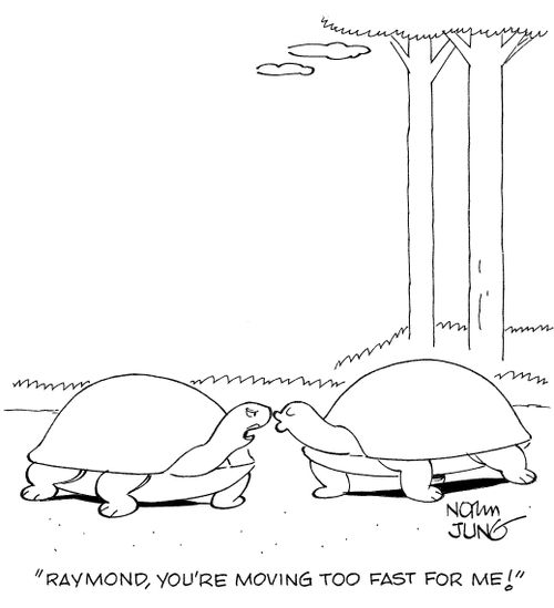 'Raymond, you're moving too fast for me!'