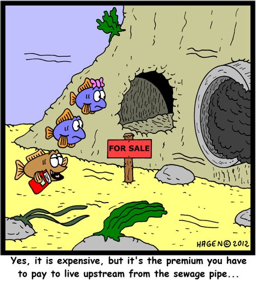 'Yes, it is expensive, but it's the premium you have to pay to live upstream from the sewage pipe...'