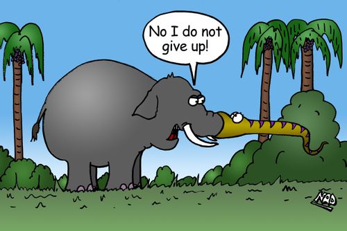 'No I do not give up!'