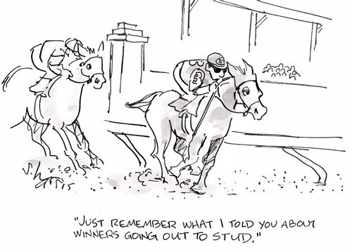 'Just remember what I told you about winners going out to stud.'