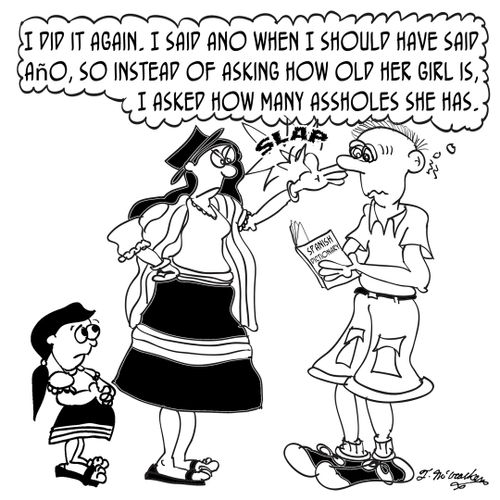 'I did it again. I said ano when I should have said año, so instead of asking how old her girl is, I asked how many assholes she has.'