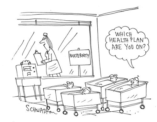 'Which health plan are you on?'