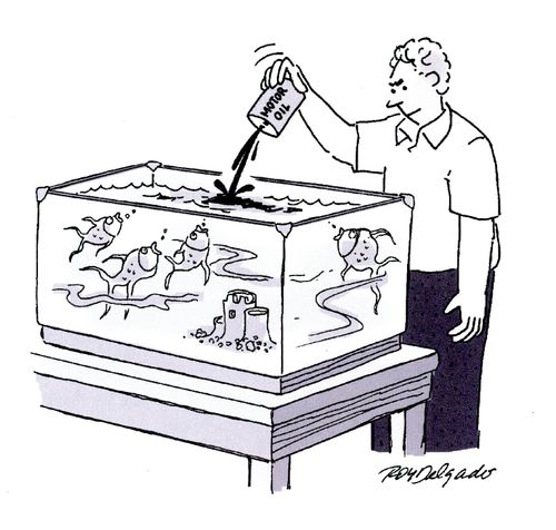 Pouring oil into the fish tank.