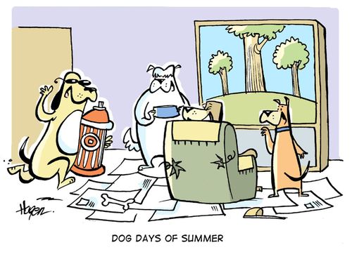 Dog days of summer.