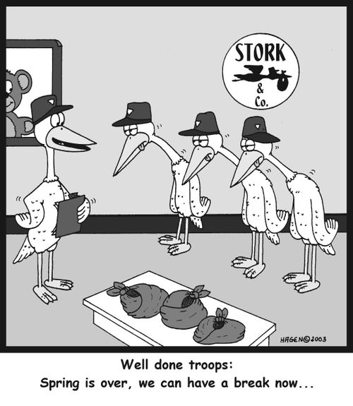 'Well done troops: Spring is over, we can have a break now...'