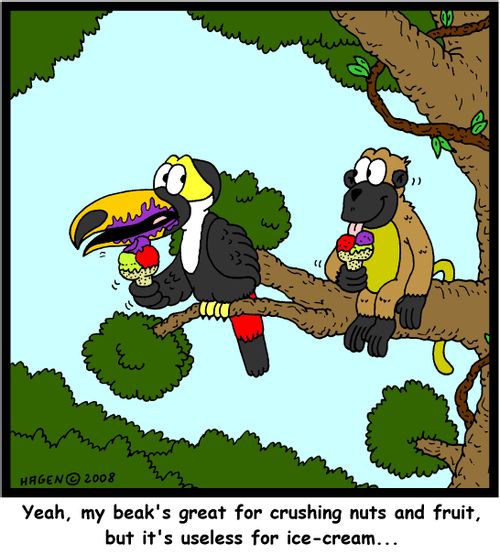 'Yeah, my beak's great for crushing nuts and fruit, but it's useless for ice-cream...'