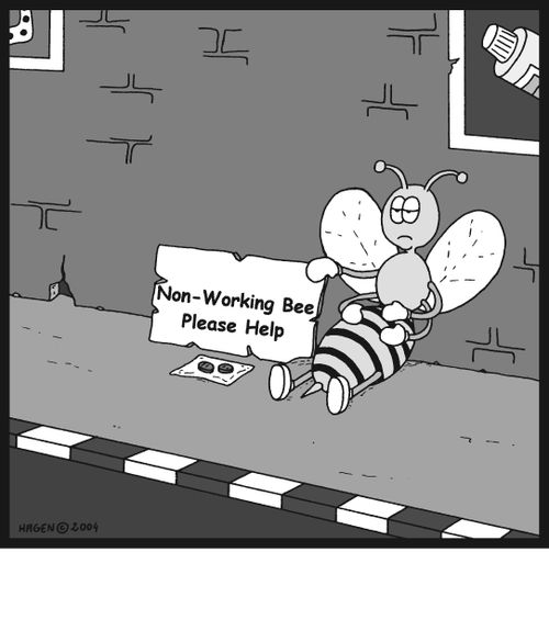 Non-Working Bee, Please Help