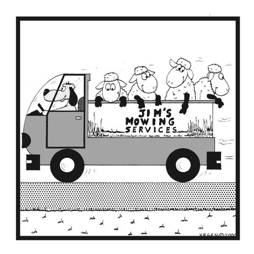 Jim's Mowing Services