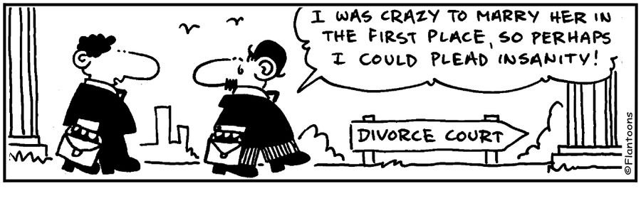 I was crazy to marry her, I should plead insanity.