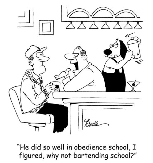 'He did so well in obedience school, I figured, why not bartending school?'
