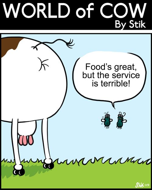 Food's great, but the service is terrible!