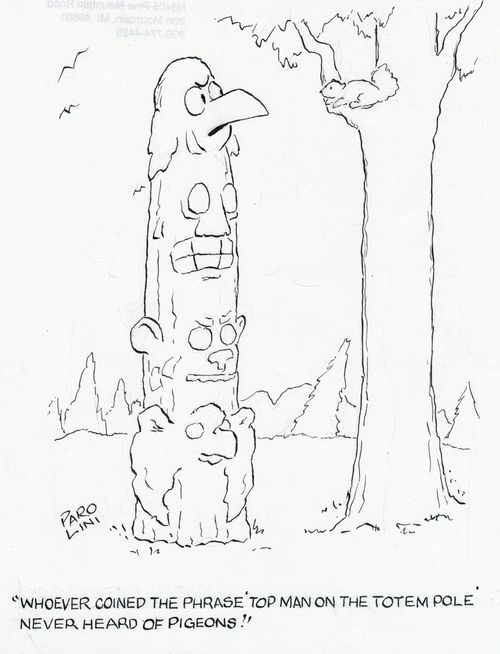 'Whoever conned the phrase 'top man on the totem pole' never heard of pigeons.'
