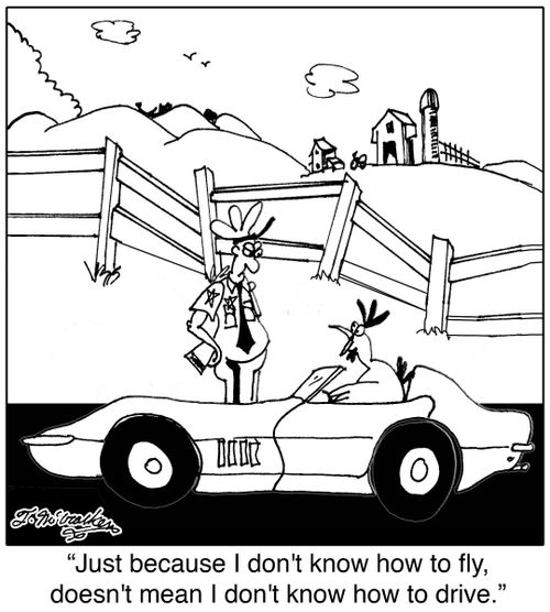 'Just because I don't know how to fly, doesn't mean I don't know how to drive.'