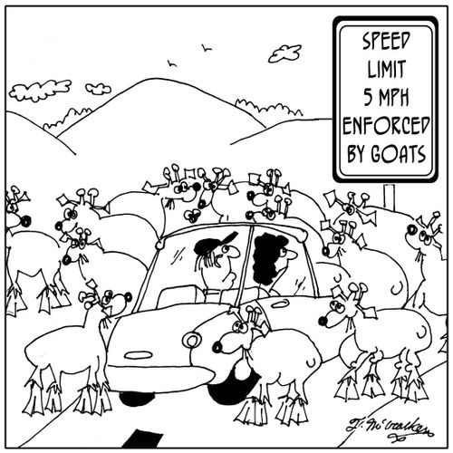 Speed Limit 5 MPH. Enforced by Goats.