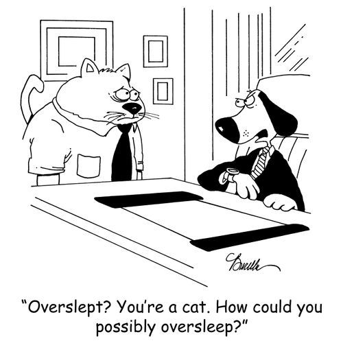 'Overslept? You're a cat. How could you possibly oversleep?'