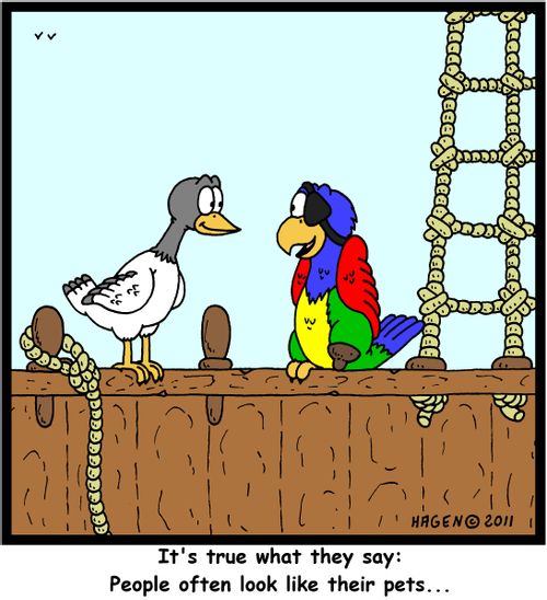 'It's true what they say: People often look like their pets...'