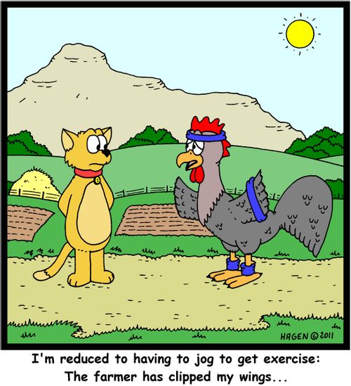 'I'm reduced to having to jog to get exercise: The farmer has clipped my wings...'