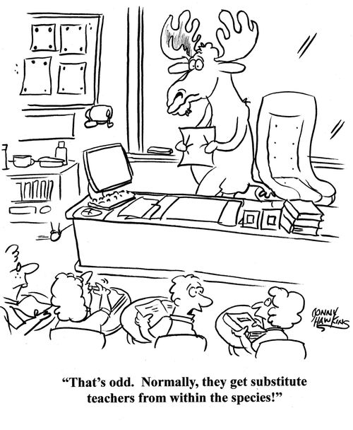 Student about moose: 'That's odd. Normally, they get substitute teachers from within the species!'