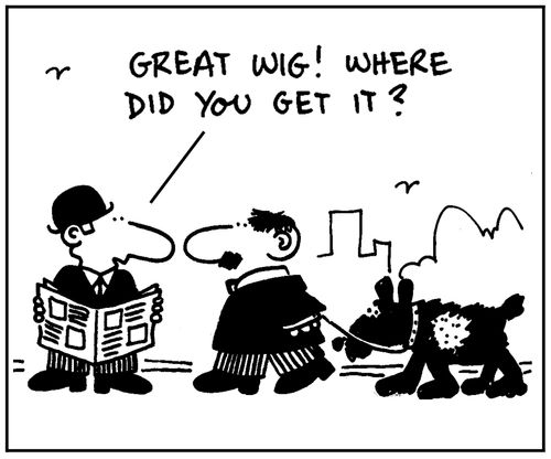 'Great wig. Where did you get it?.'