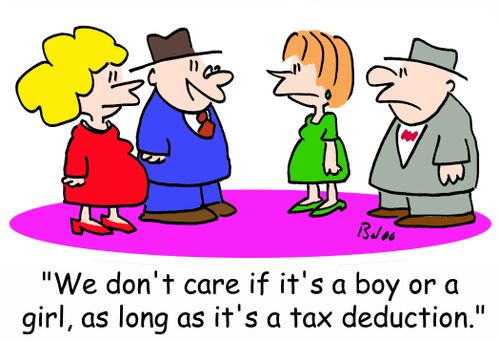 'We don't care if it's a boy or a girl, as long as it's a tax deduction.'